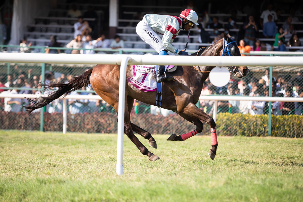 Is Legal Popular Horse Racing Betting Apps Legal in India? Complete 2027 Guide